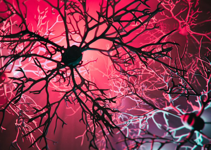 Digital-illustration-of-neurons-affected-by-epilepsy