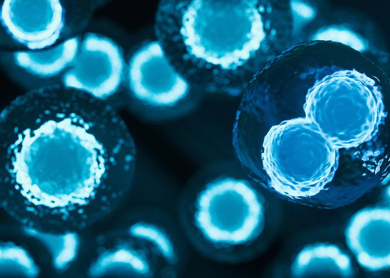 Digital-illustration-of-stem-cells-used-in-regenerative-medicine